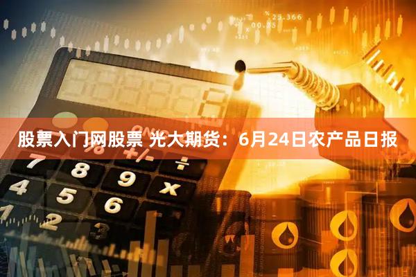 股票入门网股票 光大期货：6月24日农产品日报