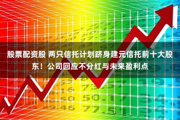 股票配资股 两只信托计划跻身建元信托前十大股东！公司回应不分红与未来盈利点
