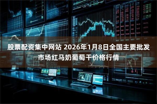 股票配资集中网站 2026年1月8日全国主要批发市场红马奶葡萄干价格行情